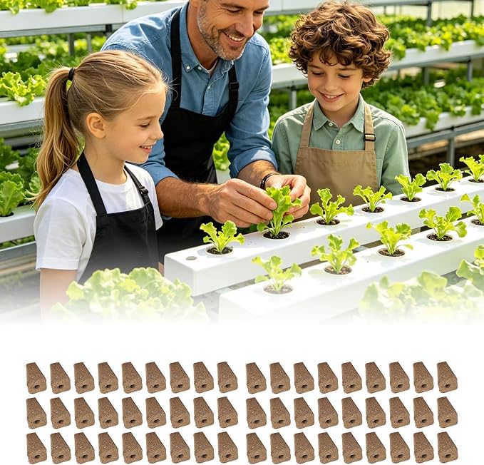 54 Pieces