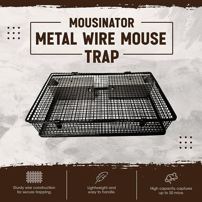 Mouse