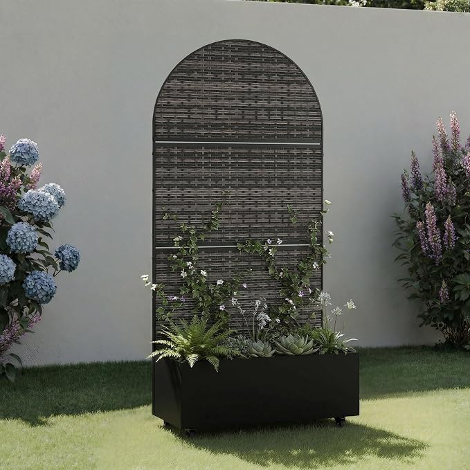 Black-crossbanding-arched