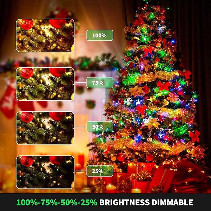 800LED Warm White+Multi-Color