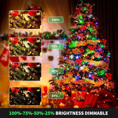 800LED Warm White+Multi-Color