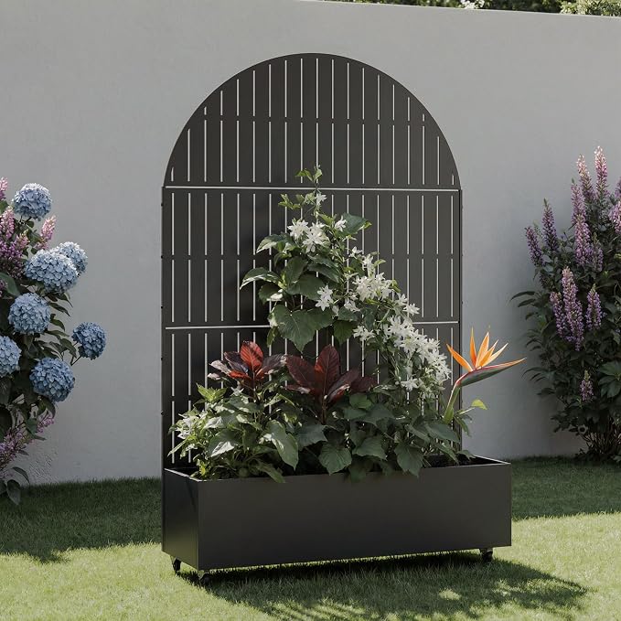 Black-fence-arched