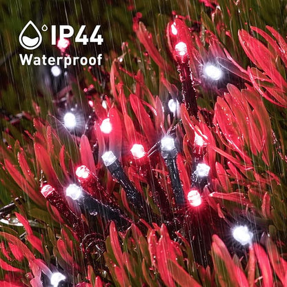 Red and White