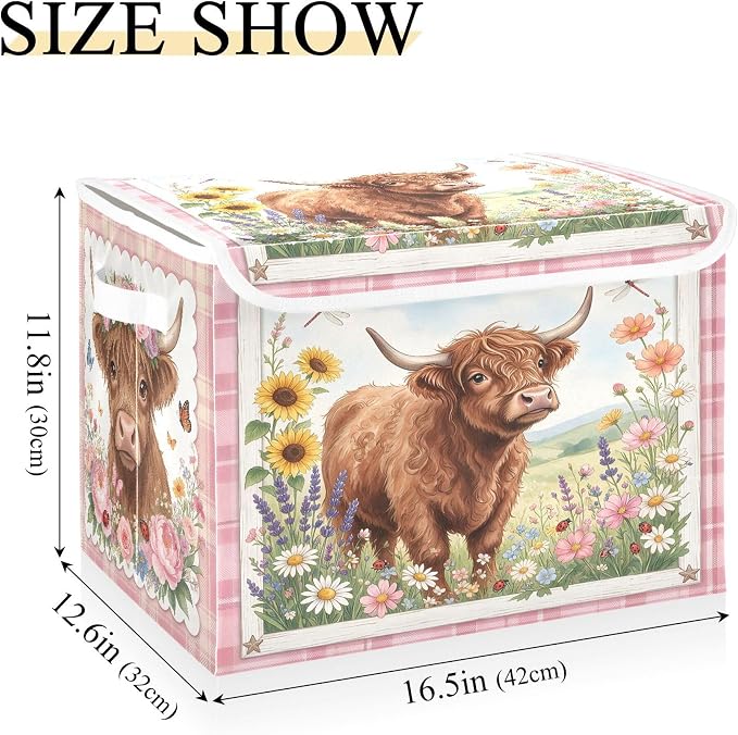 Highland Cattle