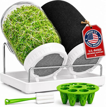Sprouts Growing Kit & Green Onion Regrower