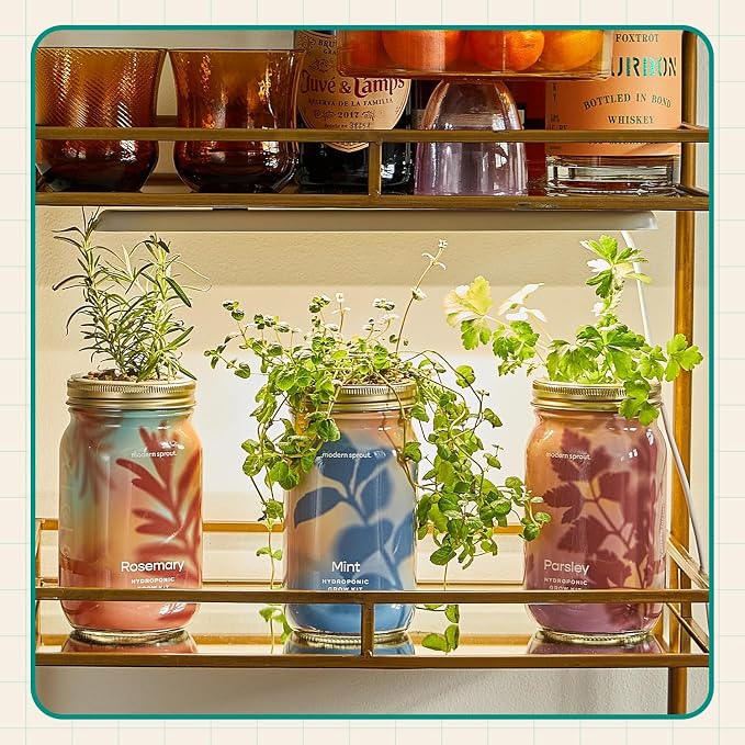 Basil, Rosemary, Parsley