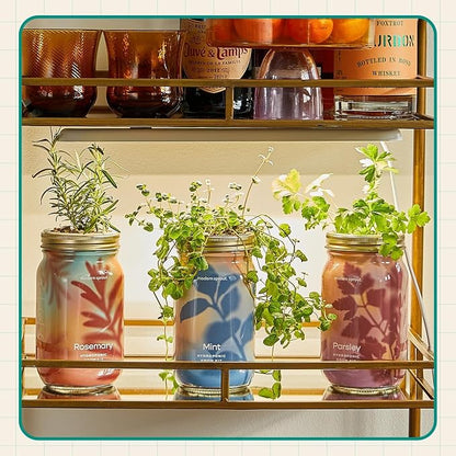 Basil, Rosemary, Parsley