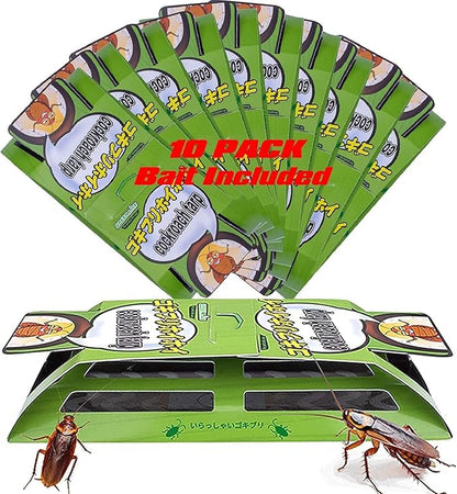 roachtrap-10 pack