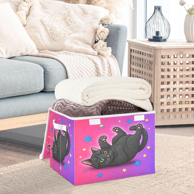Starry Black Cat