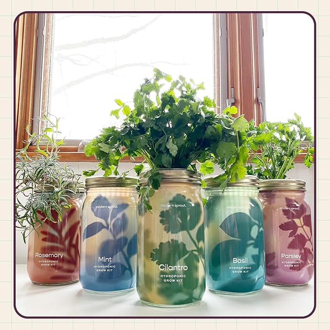 Parsley