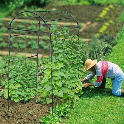 __DEFAULT__