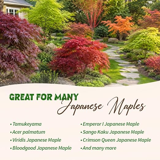 Japanese Maple Fertilizer