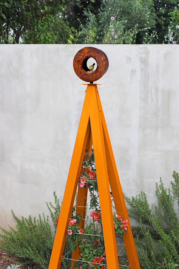 Kumquat