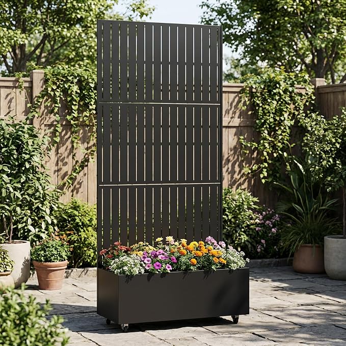 Black-fence