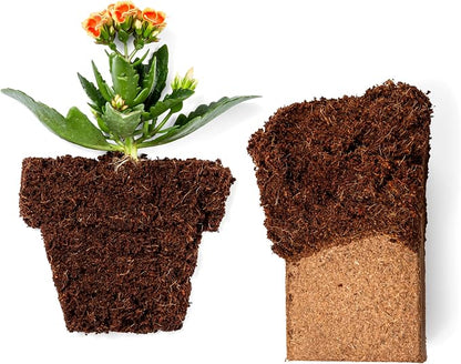 Coco Coir 650gm (50 Bricks)