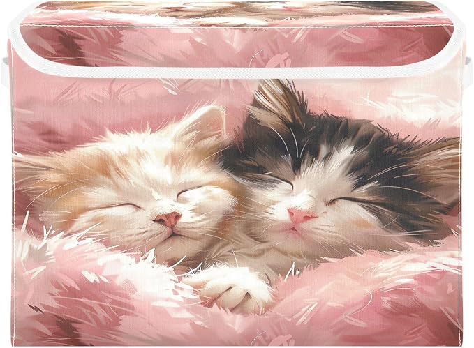 Adorable Two Cats