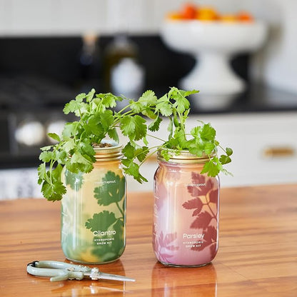 Basil + Mint + Parsley + Cilantro + Rosemary+ Lavender