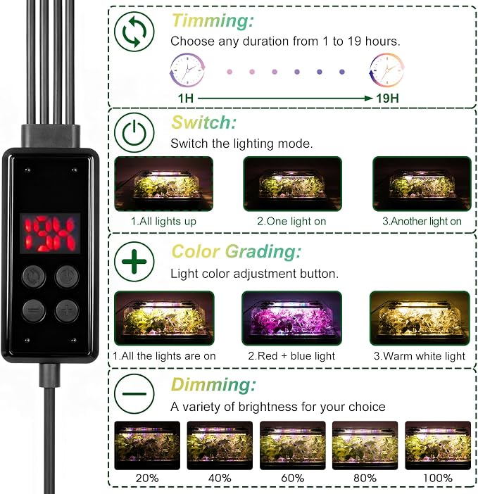 Green 4 Set