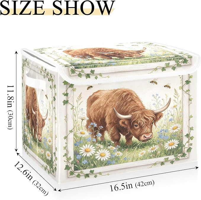 Highland Cow