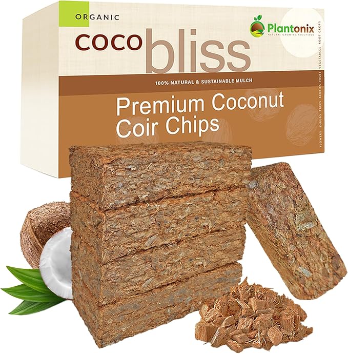 Coco Chips 650gm (5 Bricks)