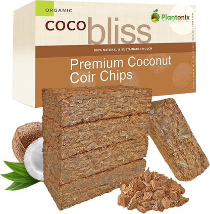 Coco Chips 650gm (5 Bricks)