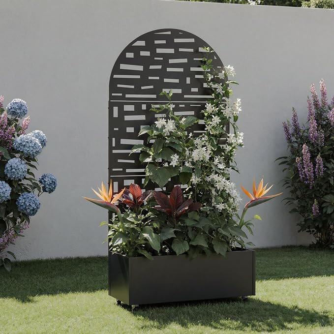 Black-gerald-arched