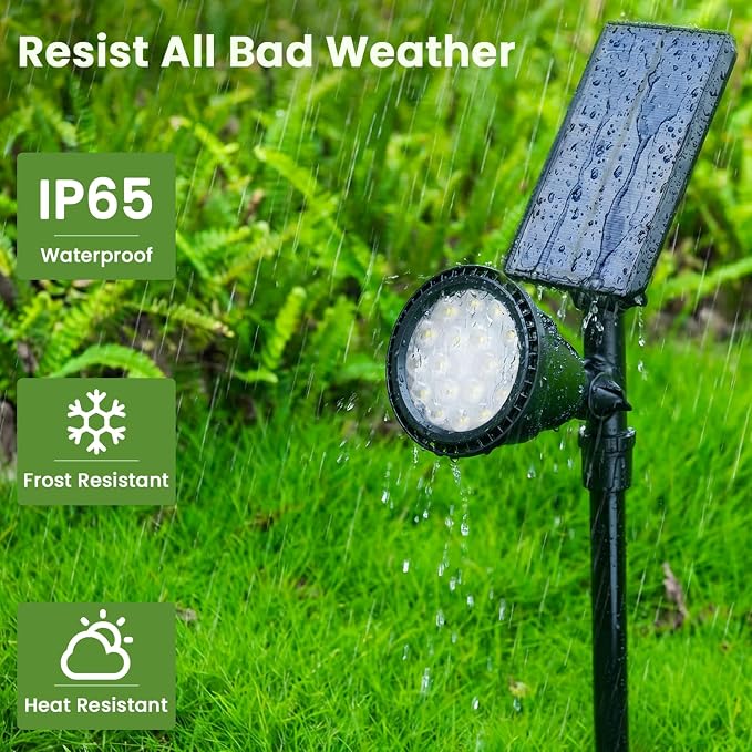Warm White-4P