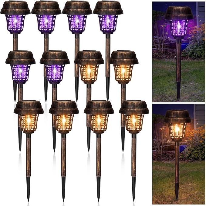 Purple and Warm Light,Bronze