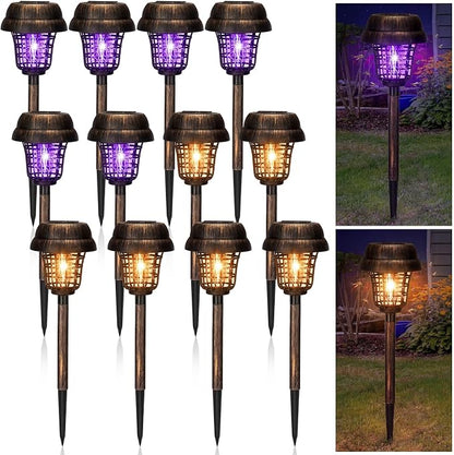 Purple and Warm Light,Bronze