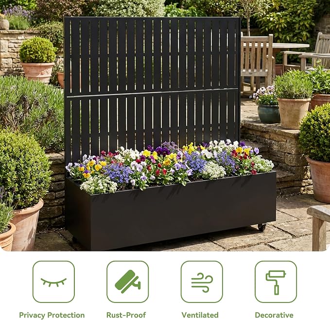 Black-fence