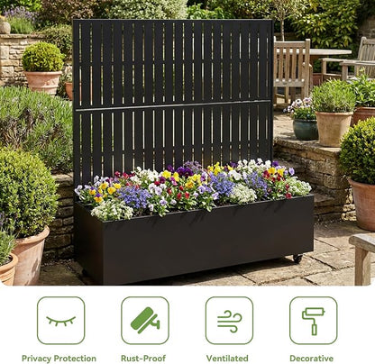 Black-fence