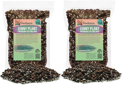 Monstera Ginny Plant Soil Mix