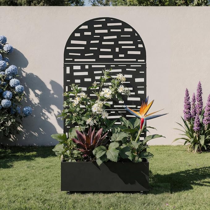 Black-gerald-arched