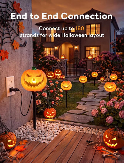 Orange (Terrifying Smiling Pumpkin)