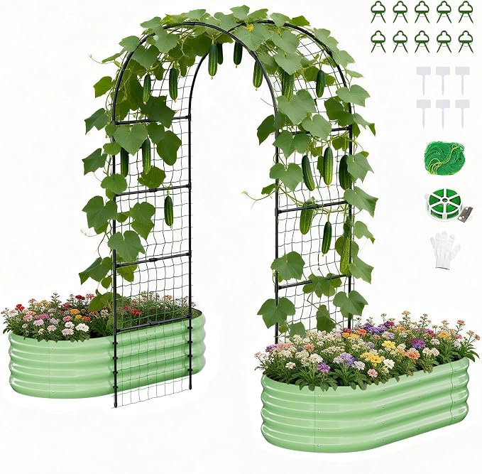 Green Oval