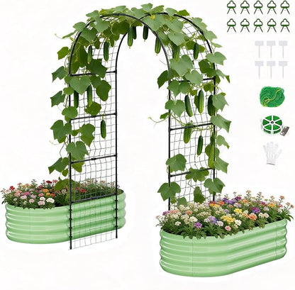 Green Oval