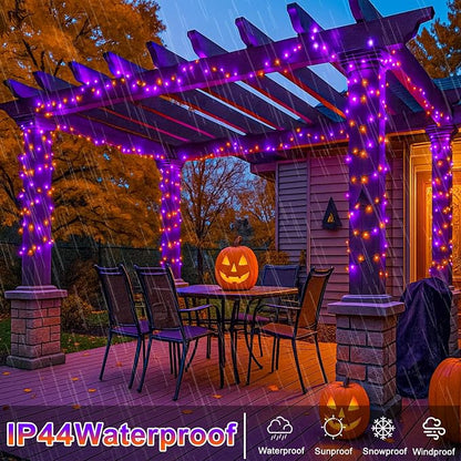 Orange and Purple