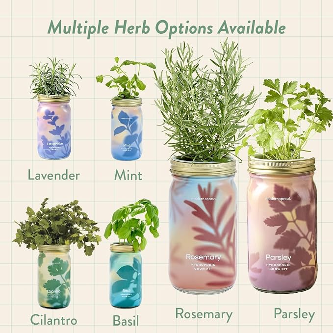 Rosemary & Parsley