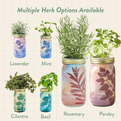 Rosemary & Parsley