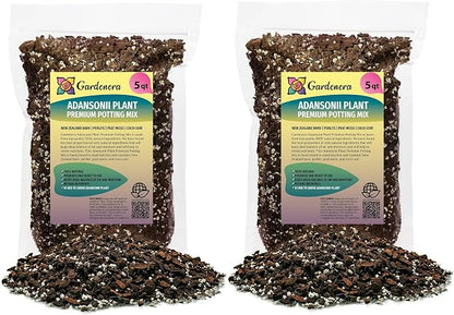 Monstera Adansonii Potting Mix