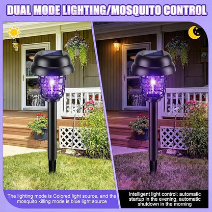 Purple and Colorful Light, Black