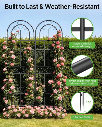 __DEFAULT__