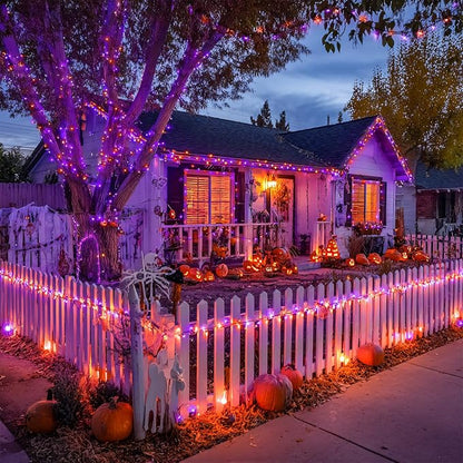 Orange and Purple