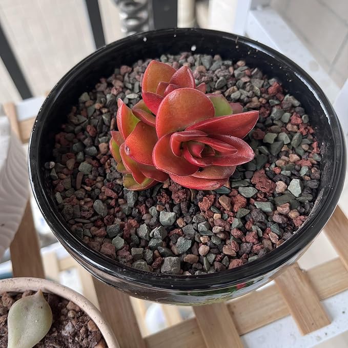Mixed Color