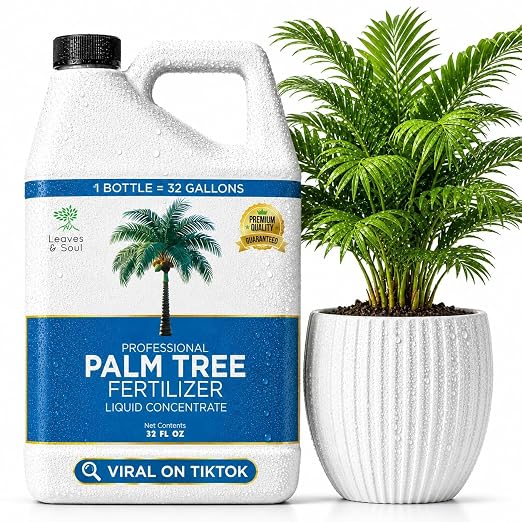 Palm Tree