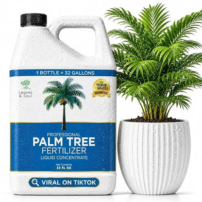Palm Tree