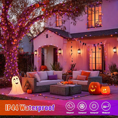Orange and Purple