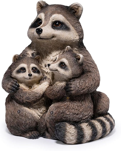 Raccoon Family