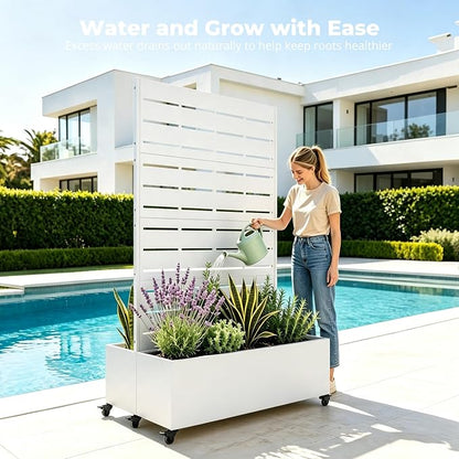 White-louvered