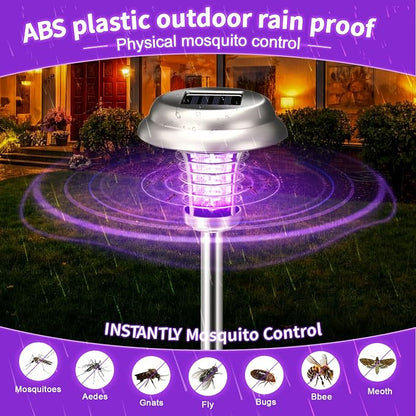 Purple & Colorful Light